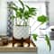 Flora Bunda 5" Matte White Ceramic Dimple Pattern Planter On Wood Stand